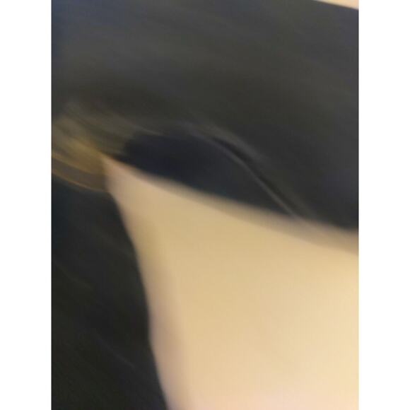 Cappagallo Women's Blue Jean Denim Jacket Button Up Size XL Cotton Spandex... - Picture 12 of 16